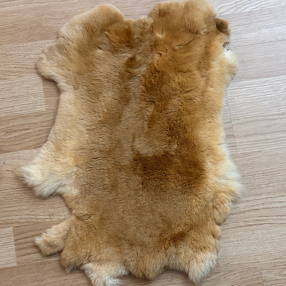 A392 Rex rabbit hide - Velvet Soft Luxury Craft Pelt